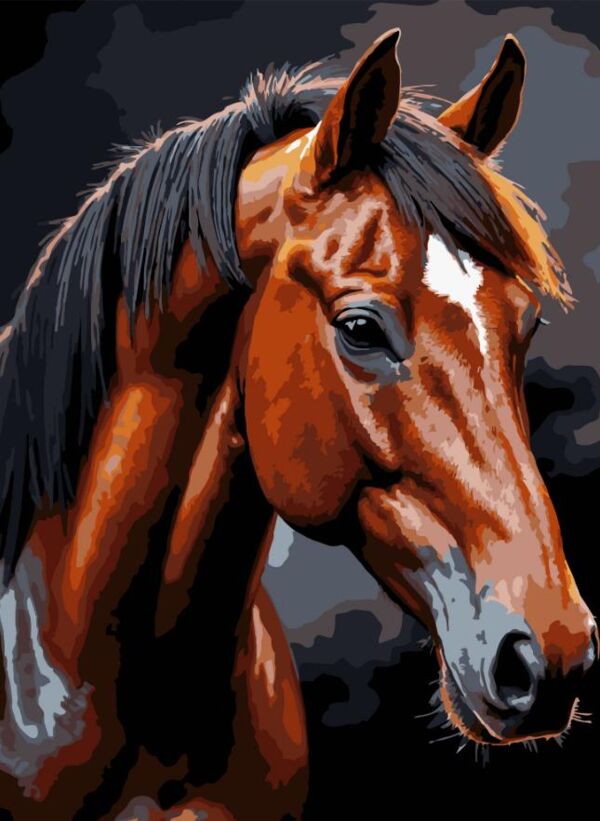 Розпис по номерах 30х40 FH-39 Коричневий кінь на чорному фоні Strateg Ціна (цена) 234.41грн. | придбати  купити (купить) Розпис по номерах 30х40 FH-39 Коричневий кінь на чорному фоні Strateg доставка по Украине, купить книгу, детские игрушки, компакт диски 0