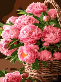 Розпис по номерах 30х40 SS-1254 Букет півоній "Strateg"