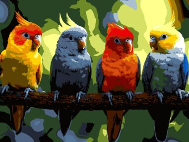 Розпис по номерах 30х40 SS-1267 Яскраві папуги "Strateg"