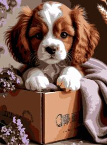 Розпис по номерах 30х40 SS-1287 Цуценя в коробці "Strateg"