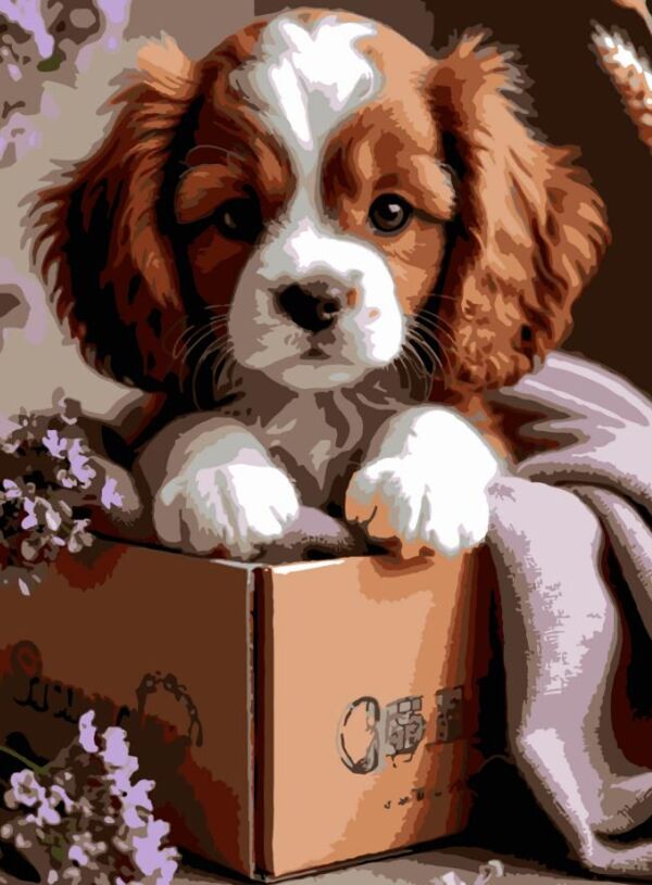 Розпис по номерах 30х40 SS-1287 Цуценя в коробці Strateg Ціна (цена) 141.65грн. | придбати  купити (купить) Розпис по номерах 30х40 SS-1287 Цуценя в коробці Strateg доставка по Украине, купить книгу, детские игрушки, компакт диски 0