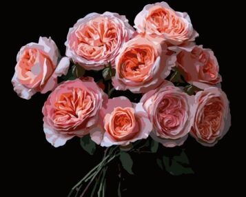 Розпис по номерах 40х50 AH1256 Рожеві квіти на чорному фоні "Strateg"