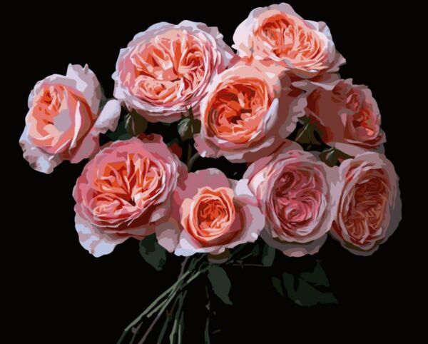 Розпис по номерах 40х50 AH1256 Рожеві квіти на чорному фоні Strateg Ціна (цена) 254.36грн. | придбати  купити (купить) Розпис по номерах 40х50 AH1256 Рожеві квіти на чорному фоні Strateg доставка по Украине, купить книгу, детские игрушки, компакт диски 0