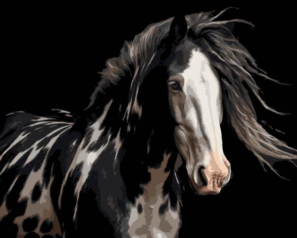 Розпис по номерах 40х50 AH1296 Розкішний кінь на чорному фоні Strateg Ціна (цена) 254.36грн. | придбати  купити (купить) Розпис по номерах 40х50 AH1296 Розкішний кінь на чорному фоні Strateg доставка по Украине, купить книгу, детские игрушки, компакт диски 0