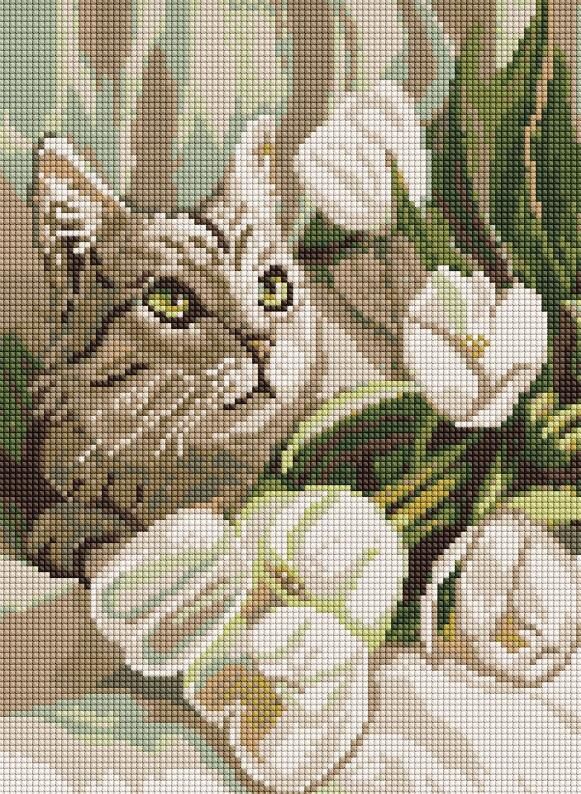 Алмазна мозаїка 30х40 AMO20099 Зеленоокий кіт з тюльпанами Ідейка Ціна (цена) 268.70грн. | придбати  купити (купить) Алмазна мозаїка 30х40 AMO20099 Зеленоокий кіт з тюльпанами Ідейка доставка по Украине, купить книгу, детские игрушки, компакт диски 0