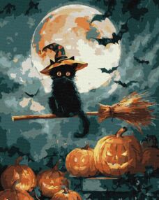 Розпис по номерах 40х50 KHO6821 Маленький чаклун "Ідейка"