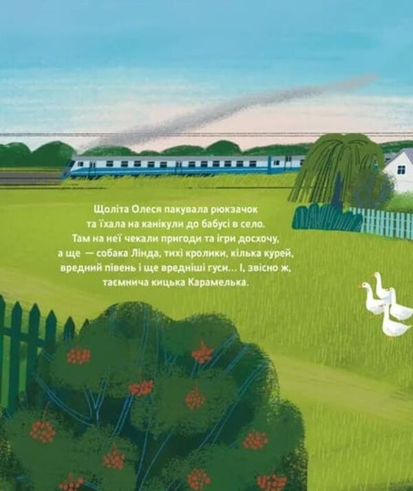 Таємне життя Карамельки Ціна (цена) 316.50грн. | придбати  купити (купить) Таємне життя Карамельки доставка по Украине, купить книгу, детские игрушки, компакт диски 5