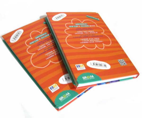 УЦІНКА Дивовижні пригоди в лісовій школі. Книга 1.  Сонце серед ночі Ціна (цена) 290.00грн. | придбати  купити (купить) УЦІНКА Дивовижні пригоди в лісовій школі. Книга 1.  Сонце серед ночі доставка по Украине, купить книгу, детские игрушки, компакт диски 1