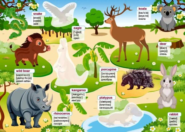 Талант Вивчаємо англійську Зоопарк Ціна (цена) 46.00грн. | придбати  купити (купить) Талант Вивчаємо англійську Зоопарк доставка по Украине, купить книгу, детские игрушки, компакт диски 2