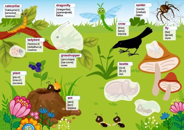 Талант Вивчаємо англійську Ферма Ціна (цена) 46.00грн. | придбати  купити (купить) Талант Вивчаємо англійську Ферма доставка по Украине, купить книгу, детские игрушки, компакт диски 2