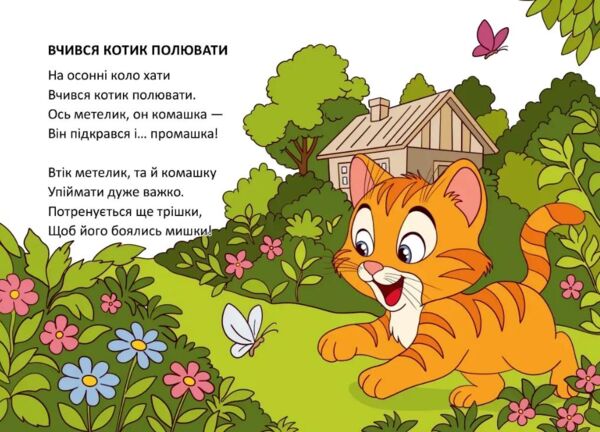 Книжечка в долонці вчився котик Ціна (цена) 28.00грн. | придбати  купити (купить) Книжечка в долонці вчився котик доставка по Украине, купить книгу, детские игрушки, компакт диски 1