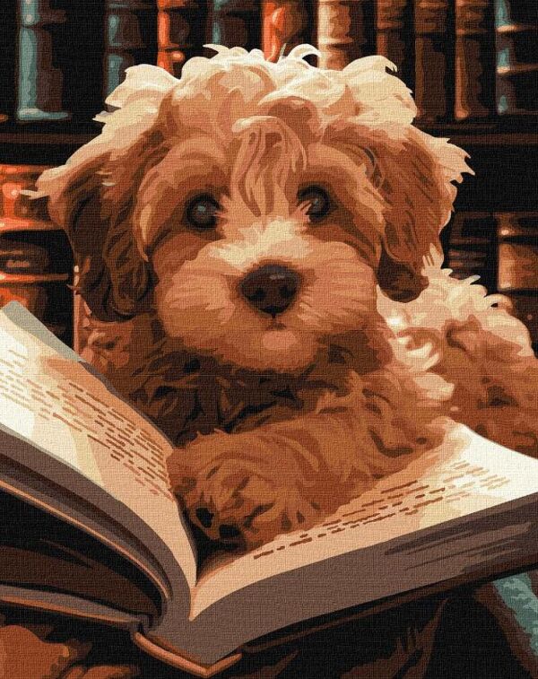 Розпис по номерах 40х50 KHO6587 Пухнастий читач Ідейка Ціна (цена) 190.80грн. | придбати  купити (купить) Розпис по номерах 40х50 KHO6587 Пухнастий читач Ідейка доставка по Украине, купить книгу, детские игрушки, компакт диски 0