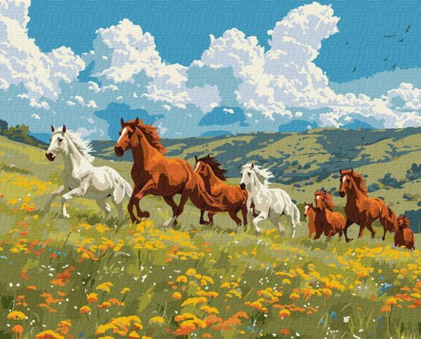 Розпис по номерах 40х50 KHO6591 Сила і грація Ідейка Ціна (цена) 190.80грн. | придбати  купити (купить) Розпис по номерах 40х50 KHO6591 Сила і грація Ідейка доставка по Украине, купить книгу, детские игрушки, компакт диски 0