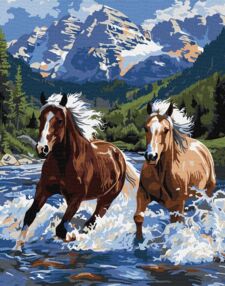 Розпис по номерах 40х50 KHO6830 Сила у русі "Ідейка"