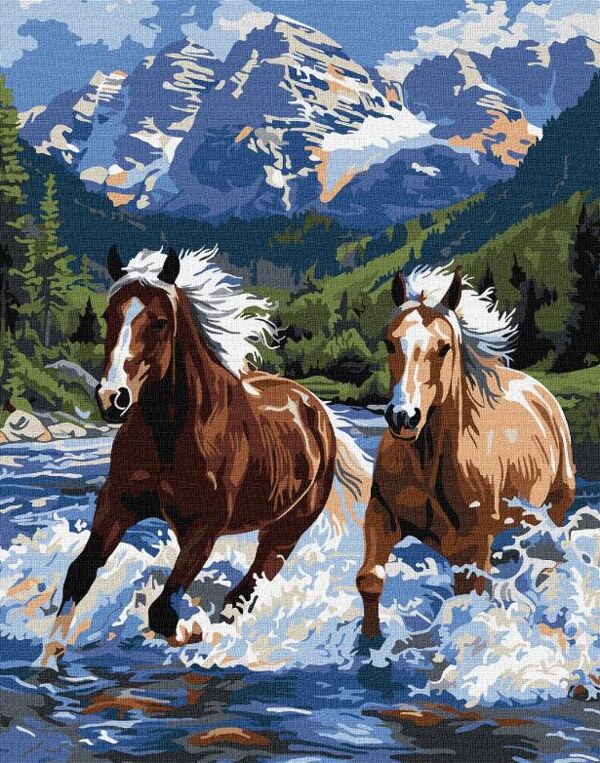 Розпис по номерах 40х50 KHO6830 Сила у русі Ідейка Ціна (цена) 190.80грн. | придбати  купити (купить) Розпис по номерах 40х50 KHO6830 Сила у русі Ідейка доставка по Украине, купить книгу, детские игрушки, компакт диски 0