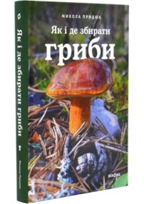 Як і де збирати гриби