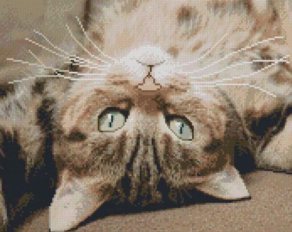 Алмазна мозаїка б/підрамн 40х50 ZAV4050-37 Грайливе щастя Strateg Ціна (цена) 169.67грн. | придбати  купити (купить) Алмазна мозаїка б/підрамн 40х50 ZAV4050-37 Грайливе щастя Strateg доставка по Украине, купить книгу, детские игрушки, компакт диски 0