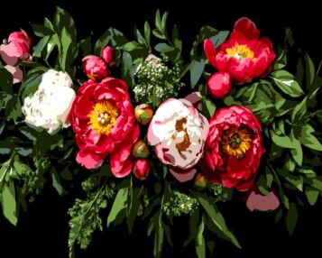 Розпис по номерах 40х50 AH1249 Квіткова композиція на чорному фоні "Strateg"