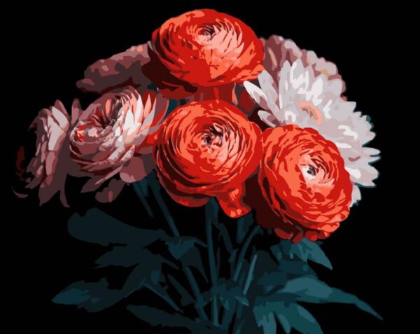 Розпис по номерах 40х50 AH1250 Червоні ранункулюси на чорному фоні Strateg Ціна (цена) 254.36грн. | придбати  купити (купить) Розпис по номерах 40х50 AH1250 Червоні ранункулюси на чорному фоні Strateg доставка по Украине, купить книгу, детские игрушки, компакт диски 0