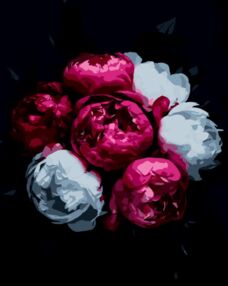 Розпис по номерах 40х50 AH1254 Рожево-білі квіти на чорному фоні "Strateg"