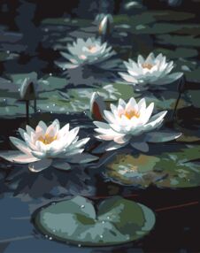 Розпис по номерах 40х50 AH1263 Водяні лілії на чорному фоні "Strateg"