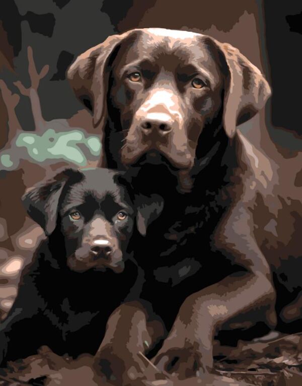 Розпис по номерах 40х50 AH1274 Пес з цуценям на чорному фоні Strateg Ціна (цена) 254.36грн. | придбати  купити (купить) Розпис по номерах 40х50 AH1274 Пес з цуценям на чорному фоні Strateg доставка по Украине, купить книгу, детские игрушки, компакт диски 0