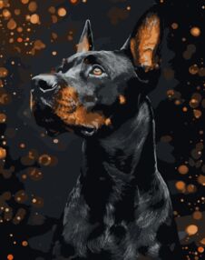 Розпис по номерах 40х50 AH1286 Доберман на чорному фоні "Strateg"