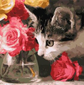 Розпис по номерах 40х40 КНО6804 Пухнастий дослідник "Ідейка"