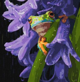 Розпис по номерах 40х40 КНО6875 Жабеня під дощем "Ідейка"