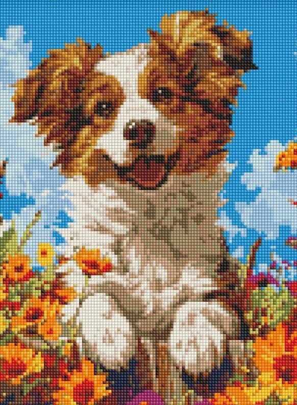 Алмазна мозаїка 30х40 AMO20015 Собака у квітах Ідейка Ціна (цена) 268.70грн. | придбати  купити (купить) Алмазна мозаїка 30х40 AMO20015 Собака у квітах Ідейка доставка по Украине, купить книгу, детские игрушки, компакт диски 0