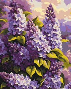 Розпис по номерах 40х50 13167-АС Бузкова ніжність "Art Craft" арт крафт