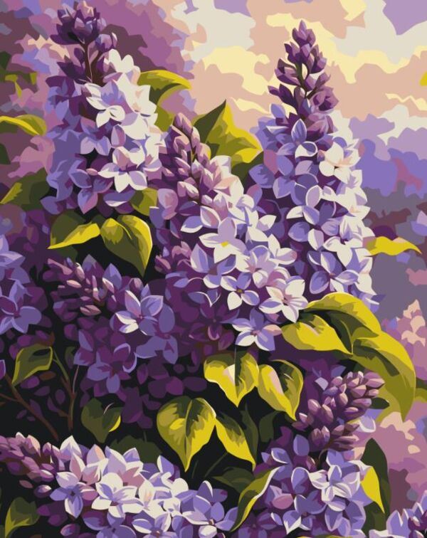 Розпис по номерах 40х50 13167-АС Бузкова ніжність Art Craft арт крафт Ціна (цена) 213.60грн. | придбати  купити (купить) Розпис по номерах 40х50 13167-АС Бузкова ніжність Art Craft арт крафт доставка по Украине, купить книгу, детские игрушки, компакт диски 0