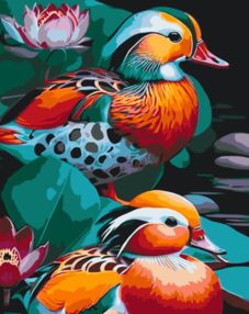 Розпис по номерах 40х50 11717-АC Качки мандаринки "Art Craft" арт крафт