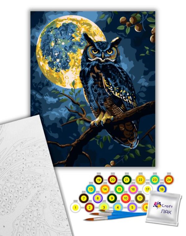 Розпис по номерах 40х50 11722-АC Хранитель зоряного світла Art Craft арт крафт Ціна (цена) 204.00грн. | придбати  купити (купить) Розпис по номерах 40х50 11722-АC Хранитель зоряного світла Art Craft арт крафт доставка по Украине, купить книгу, детские игрушки, компакт диски 1