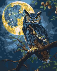 Розпис по номерах 40х50 11722-АC Хранитель зоряного світла "Art Craft" арт крафт