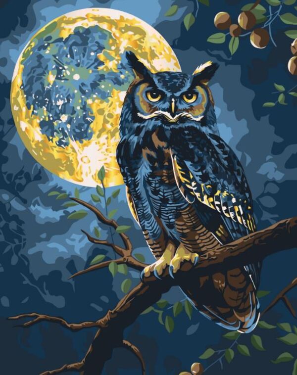 Розпис по номерах 40х50 11722-АC Хранитель зоряного світла Art Craft арт крафт Ціна (цена) 204.00грн. | придбати  купити (купить) Розпис по номерах 40х50 11722-АC Хранитель зоряного світла Art Craft арт крафт доставка по Украине, купить книгу, детские игрушки, компакт диски 0