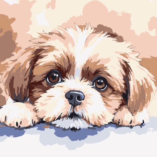 Розпис по номерах 20х20 HH8033 Миле цуценя Strateg Ціна (цена) 114.71грн. | придбати  купити (купить) Розпис по номерах 20х20 HH8033 Миле цуценя Strateg доставка по Украине, купить книгу, детские игрушки, компакт диски 0