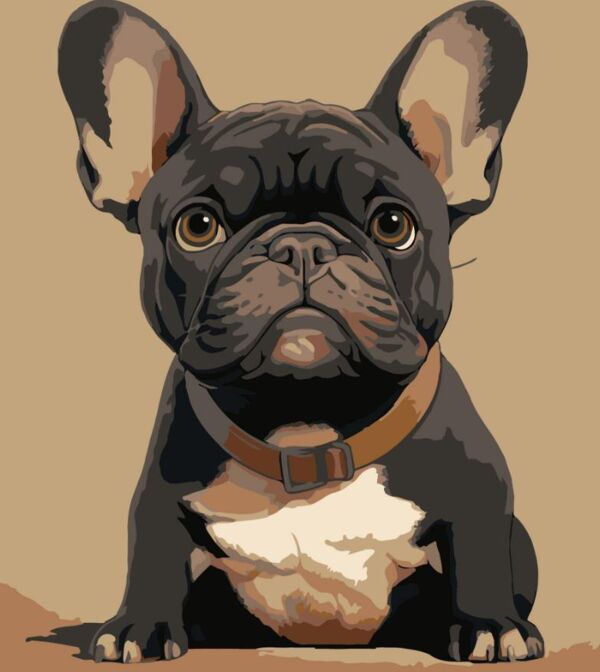 Розпис по номерах 20х20 HH8036 Французький бульдог Strateg Ціна (цена) 114.71грн. | придбати  купити (купить) Розпис по номерах 20х20 HH8036 Французький бульдог Strateg доставка по Украине, купить книгу, детские игрушки, компакт диски 0