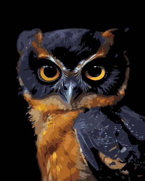 Розпис по номерах 40х50 AH1269 Погляд ночі на чорному фоні Strateg Ціна (цена) 254.36грн. | придбати  купити (купить) Розпис по номерах 40х50 AH1269 Погляд ночі на чорному фоні Strateg доставка по Украине, купить книгу, детские игрушки, компакт диски 0