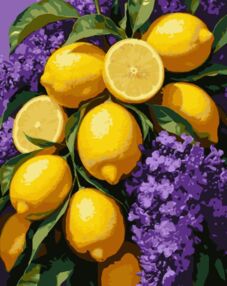 Розпис по номерах 40х50 VG025 Літні лимони "Strateg"