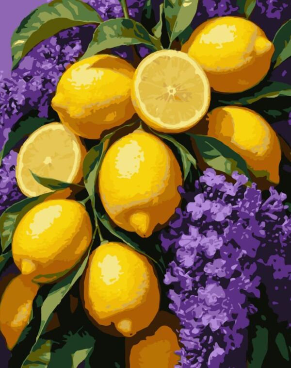 Розпис по номерах 40х50 VG025 Літні лимони Strateg Ціна (цена) 166.09грн. | придбати  купити (купить) Розпис по номерах 40х50 VG025 Літні лимони Strateg доставка по Украине, купить книгу, детские игрушки, компакт диски 0