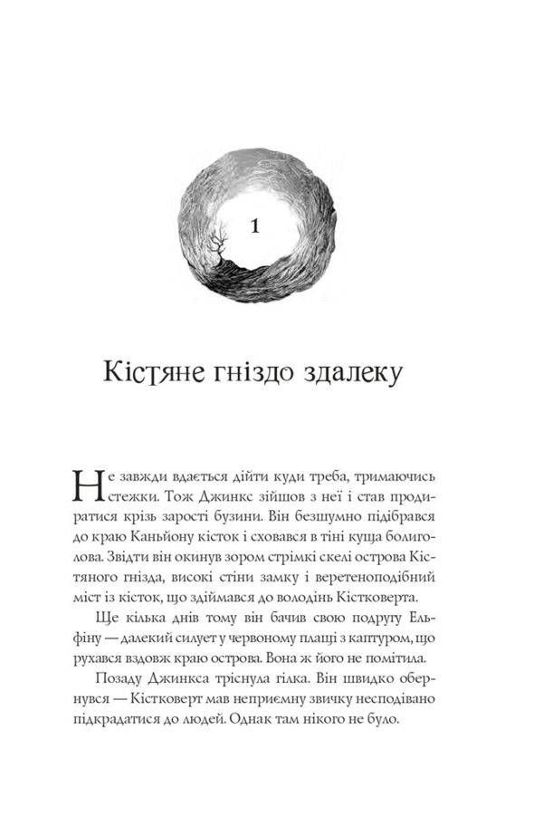 Вогонь Джинкса роман-фентезі книга 3 Ціна (цена) 371.00грн. | придбати  купити (купить) Вогонь Джинкса роман-фентезі книга 3 доставка по Украине, купить книгу, детские игрушки, компакт диски 1