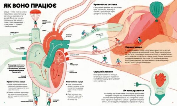 Серце Історія наука і багато любові Ціна (цена) 348.10грн. | придбати  купити (купить) Серце Історія наука і багато любові доставка по Украине, купить книгу, детские игрушки, компакт диски 4