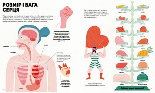 Серце Історія наука і багато любові Ціна (цена) 348.10грн. | придбати  купити (купить) Серце Історія наука і багато любові доставка по Украине, купить книгу, детские игрушки, компакт диски 3