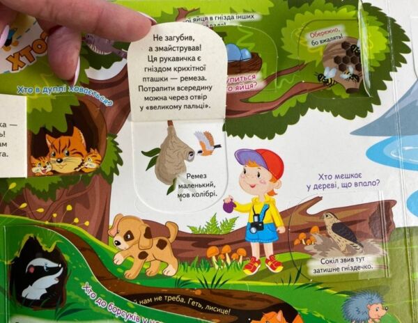 Книжка з віконцями Для розумійок і всезнайок Ціна (цена) 124.03грн. | придбати  купити (купить) Книжка з віконцями Для розумійок і всезнайок доставка по Украине, купить книгу, детские игрушки, компакт диски 5
