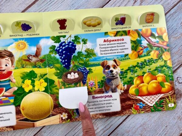 Книжка з віконцями ЩО ЦЕ? Фрукти та ягоди Ціна (цена) 124.03грн. | придбати  купити (купить) Книжка з віконцями ЩО ЦЕ? Фрукти та ягоди доставка по Украине, купить книгу, детские игрушки, компакт диски 4