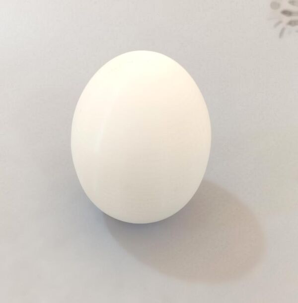 Великоднє пластикове яйце для розпису Ціна (цена) 10.00грн. | придбати  купити (купить) Великоднє пластикове яйце для розпису доставка по Украине, купить книгу, детские игрушки, компакт диски 0