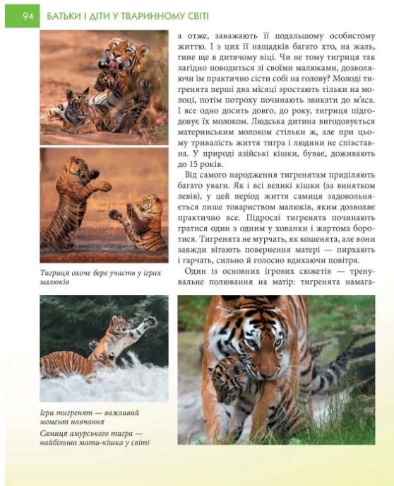 Батьки і діти у тваринному світі енциклопедія для допитливих Ціна (цена) 150.10грн. | придбати  купити (купить) Батьки і діти у тваринному світі енциклопедія для допитливих доставка по Украине, купить книгу, детские игрушки, компакт диски 3