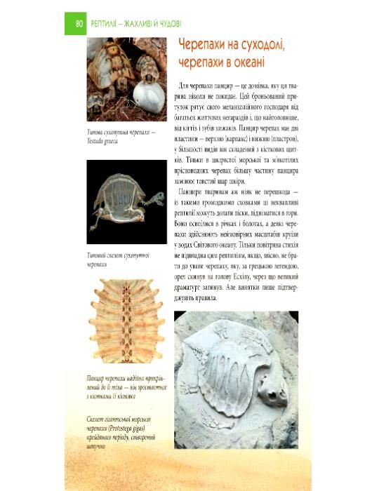 Рептилії жахливі й чудові енциклопедія для допитливих Ціна (цена) 187.00грн. | придбати  купити (купить) Рептилії жахливі й чудові енциклопедія для допитливих доставка по Украине, купить книгу, детские игрушки, компакт диски 4