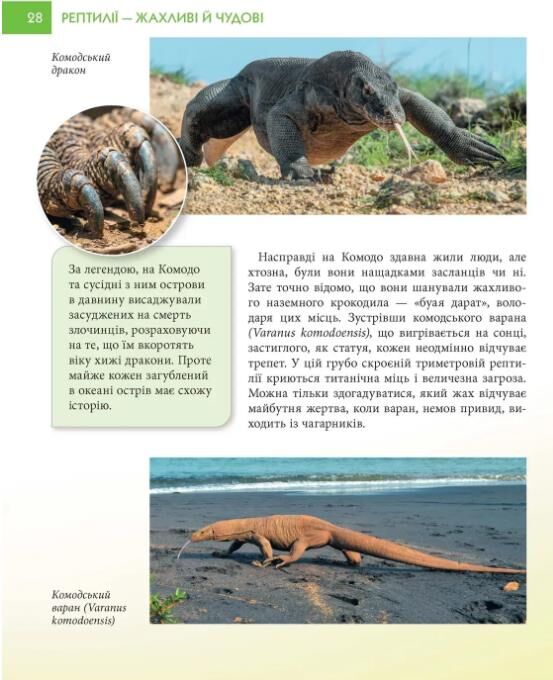 Рептилії жахливі й чудові енциклопедія для допитливих Ціна (цена) 187.00грн. | придбати  купити (купить) Рептилії жахливі й чудові енциклопедія для допитливих доставка по Украине, купить книгу, детские игрушки, компакт диски 3